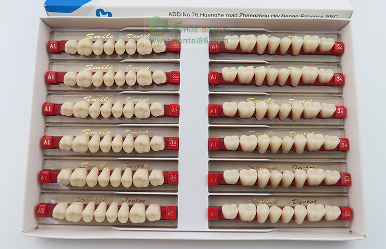 SA22 Posteriors (Upper/Lower)